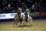 Quadrille - 00240